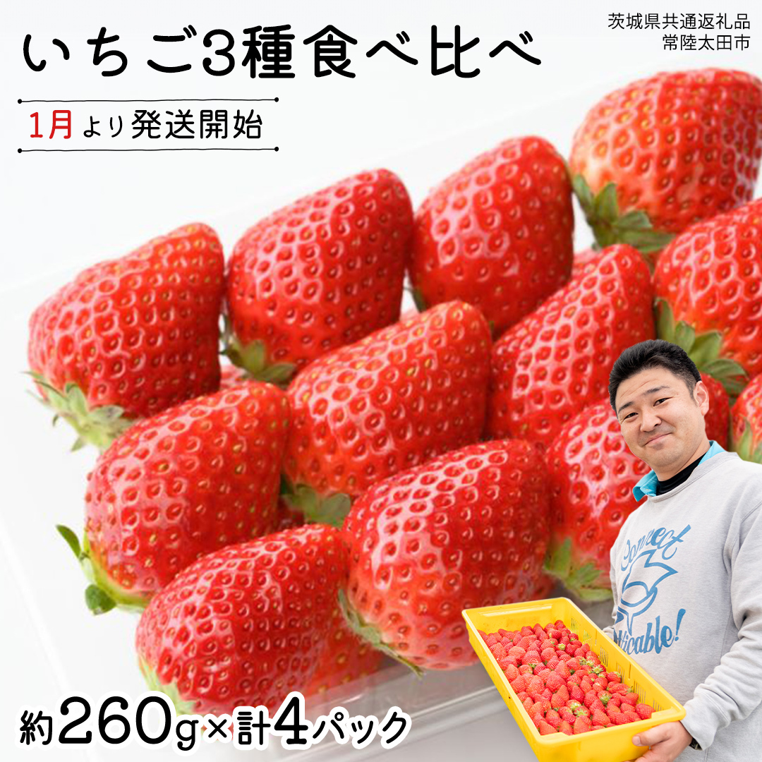 【 先行予約 】いちご 3種 食べ比べセット(4パック×1箱)【 2026年1月から発送開始 】 ( 茨城県共通返礼品 : 常陸太田市 ) 約 260g × 4パック いばらキッス ひたち姫 やよいひめ から 厳選して お届け 数量限定 果物 くだもの フルーツ 苺 イチゴ 期間限定