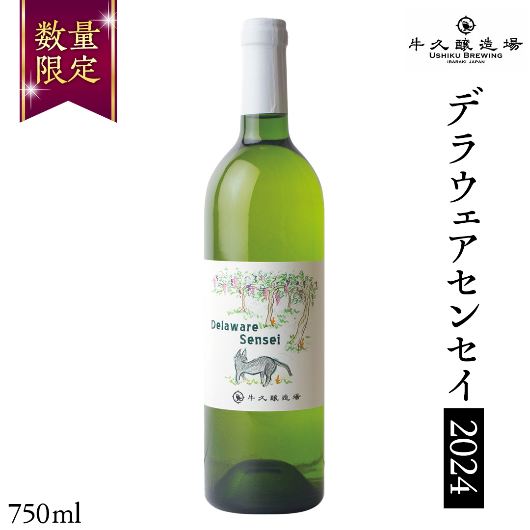 デラウェアセンセイ Delaware Sensei 2024 750ml×1本 茨城県産 牛久醸造場 日本ワイン ワイン 白ワイン 750ml ミディアムボディ お酒 贈り物 葡萄 ぶどう
