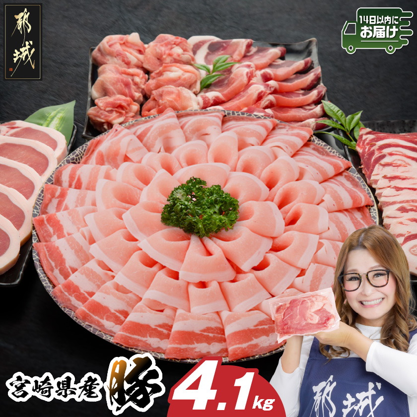 宮崎県産豚わくわく4.1kgセット(真空)≪みやこんじょ快速便≫_AC-8403-s-R