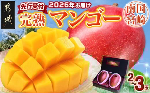 【先行受付!】宮崎完熟マンゴー2～3玉(都城産)_AC-3303