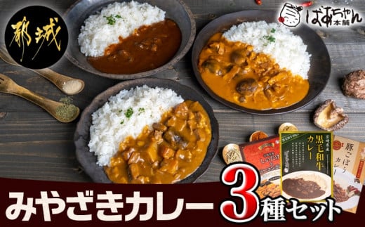 みやざきカレー3種セット※ポスト投函_LB-1502