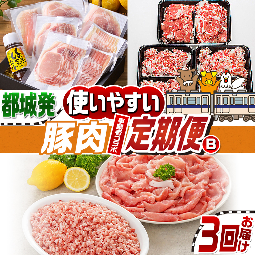 [事業者コラボ定期便]使いやすい豚肉3回定期便B