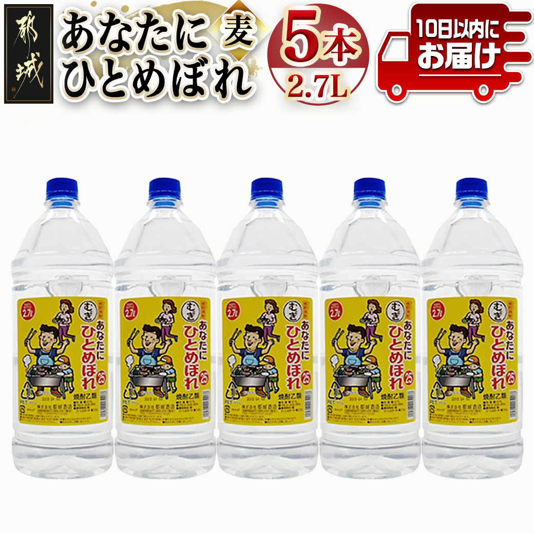 【都城酒造】あなたにひとめぼれ 麦(25度)2.7L×5本 ≪みやこんじょ特急便≫_AF-0790