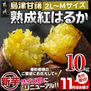 先行受付!【11月お届け】島津甘藷　熟成紅はるか 10kg(2L～M)_AA-A701-11