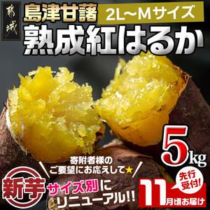 先行受付!【11月お届け】島津甘藷　熟成紅はるか 5kg(2L～M)_LD-A701-11