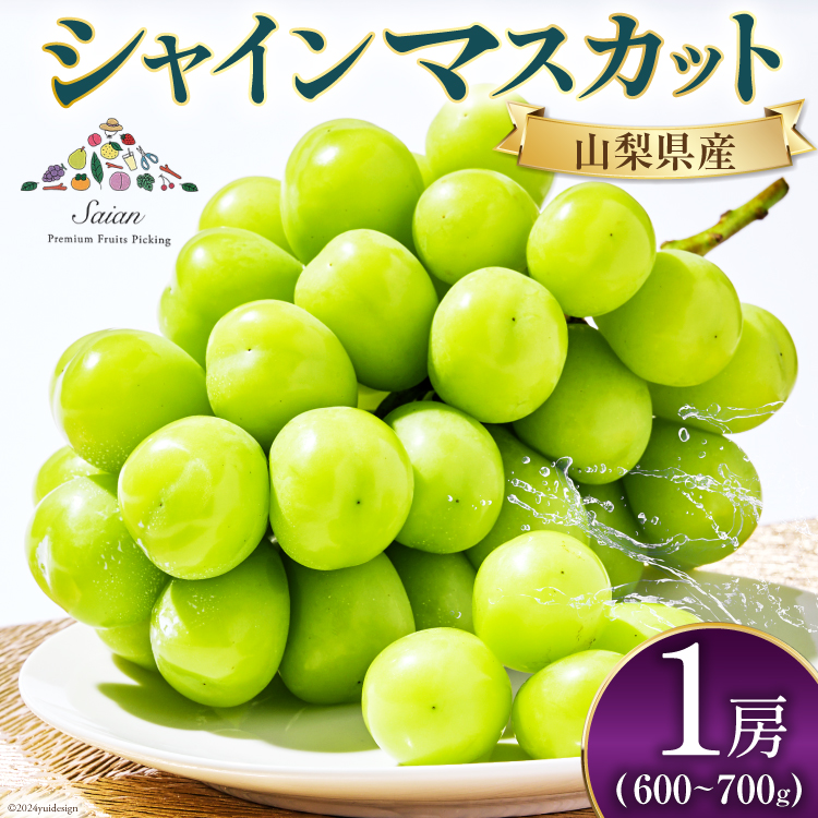 【2026年発送】先行受付 シャインマスカット 予約 1房 600 ～ 700g シャイン マスカット 山梨 フルーツ 果物 くだもの マスカット ブドウ ぶどう 葡萄 種無し 山梨県産 期間限定 季節限定 冷蔵 [斎庵 山梨県 韮崎市 20745279]