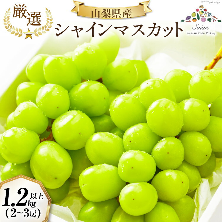 【2026年発送】先行受付 シャインマスカット 予約 約 1.2～1.3kg 2～ 3房 冷蔵発送 果物 フルーツ 山梨 ぶどう シャイン マスカット ブドウ 葡萄 種なし 厳選 旬 期間限定 季節限定 冷蔵 [斎庵 山梨県 韮崎市 20745280]