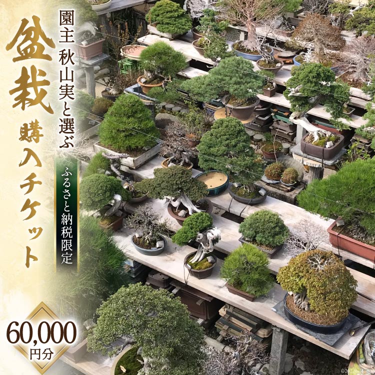 [ふるさと納税限定] 園主 「秋山実」と選ぶ 盆栽購入 チケット 60,000円分 [秋山園 山梨県 韮崎市 20740912] 盆栽 ぼんさい 限定