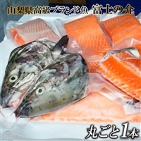 【山梨県高級ブランド魚】「富士の介」丸ごと１本セット / 山本食肉 / 山梨県 韮崎市 [20741209]