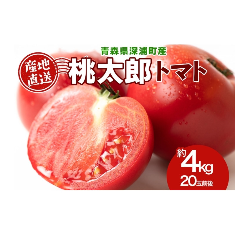 青森県産 桃太郎 トマト 約4kg 20玉前後 7月中旬〜11月中旬頃お届け 大玉 tomato 新鮮 野菜 旬 甘い 完熟 ジュース 産地直送 農家直送 お取り寄せ 常温 永谷農園 青森県 深浦町