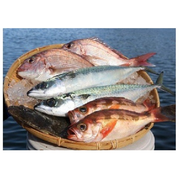 大漁まるごと海鮮セット 魚介類