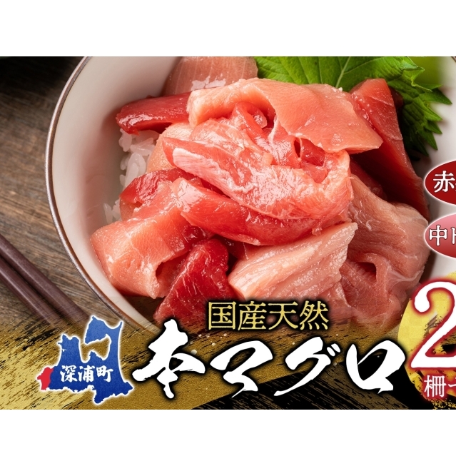 天然 本マグロ 赤身 中トロ 2種セット 国産 本鮪 まぐろ マグロ クロマグロ 鮪 刺身 丼ぶり 寿司 海鮮 魚介 贅沢 お取り寄せ 詰め合わせ グルメ 産地直送 送料無料 冷凍 あおもり海山 青森県 深浦町 魚貝類 高品質 マグロセット 