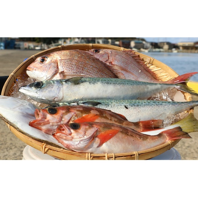 豪華まるごと海鮮セット 魚介類