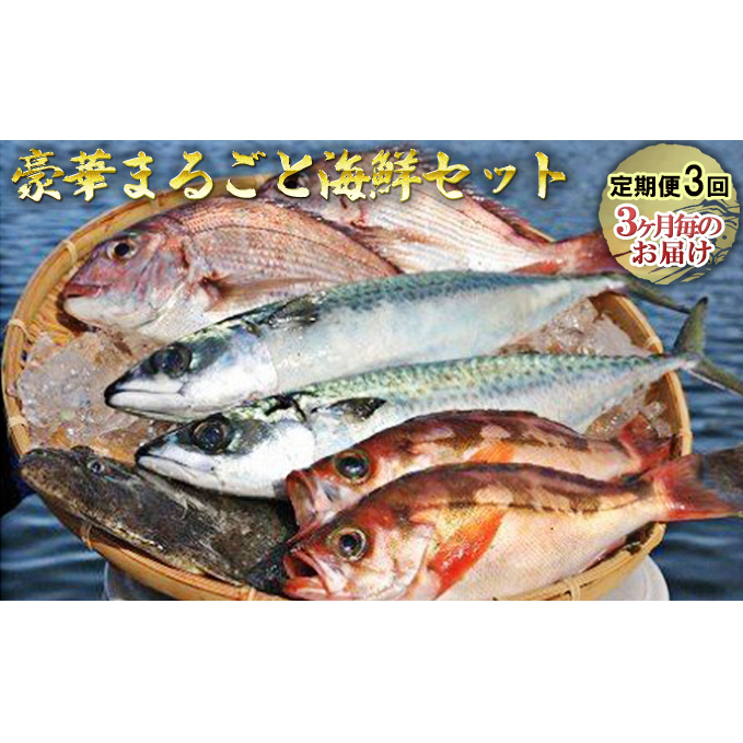 豪華まるごと海鮮セット定期便3回お届け 魚介類 海の幸 お楽しみ 丸ごと 切り身 詰め合わせ