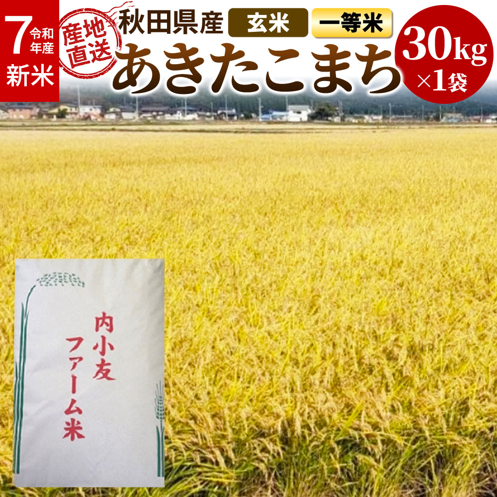 新米 米 令和7年産 秋田県産あきたこまち 一等米 農家直送 玄米30kg 内小友ファーム