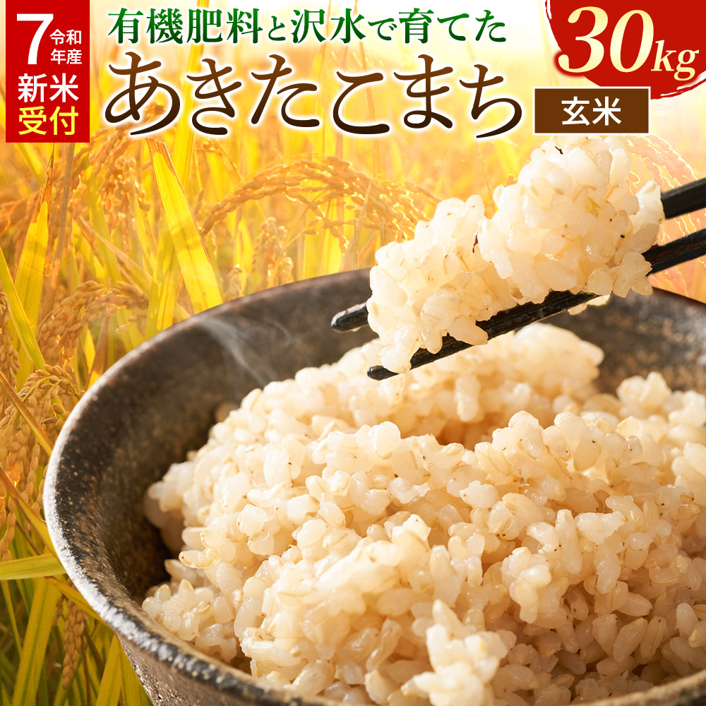 令和7年産 新米受付》米 令和7年 秋田県大仙市産 有機肥料と沢水