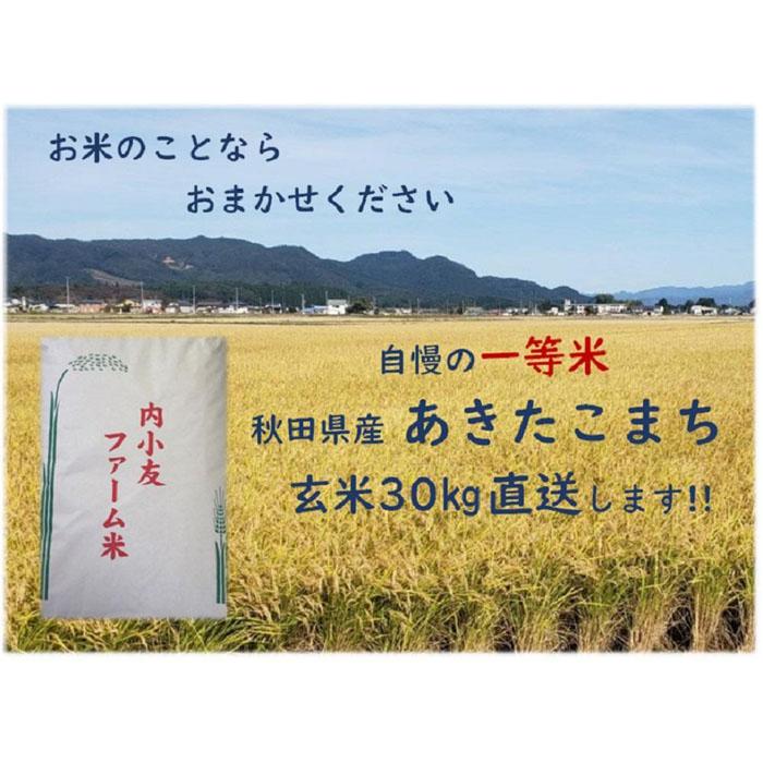 令和5年産 秋田県産あきたこまち 一等米 農家直送 玄米30kgの返礼品詳細 | JR東日本が運営【JRE MALLふるさと納税】