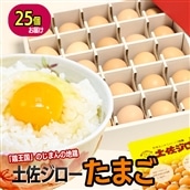 土佐ジロー濃厚たまご(1箱25個入)