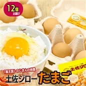 土佐ジロー濃厚たまご(1パック6個入×2パック=12個)