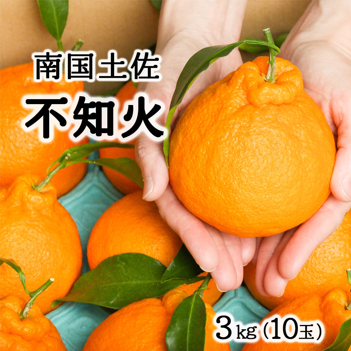 柑橘・みかん　しらぬい（不知火）３ｋｇ　　10玉サイズ