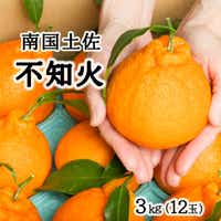 柑橘・みかん　しらぬい（不知火）３ｋｇ　　12玉サイズ