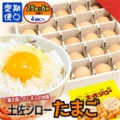 【定期便】土佐ジローたまご (1箱25個入)×6回(約4週間毎に1回)