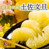 土佐文旦贈答用約3ｋｇ（森本果樹園）
