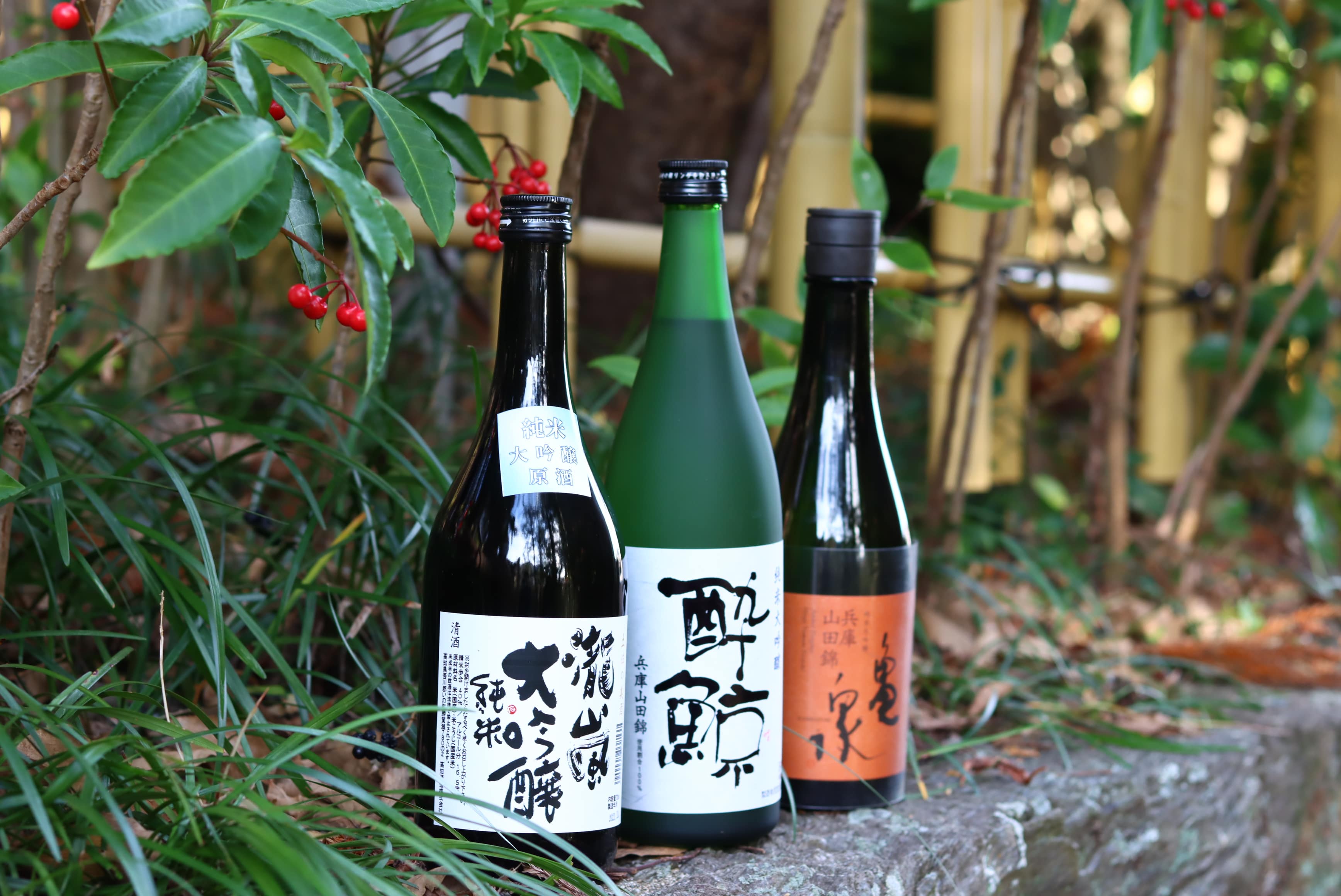 純米大吟醸　梅セット