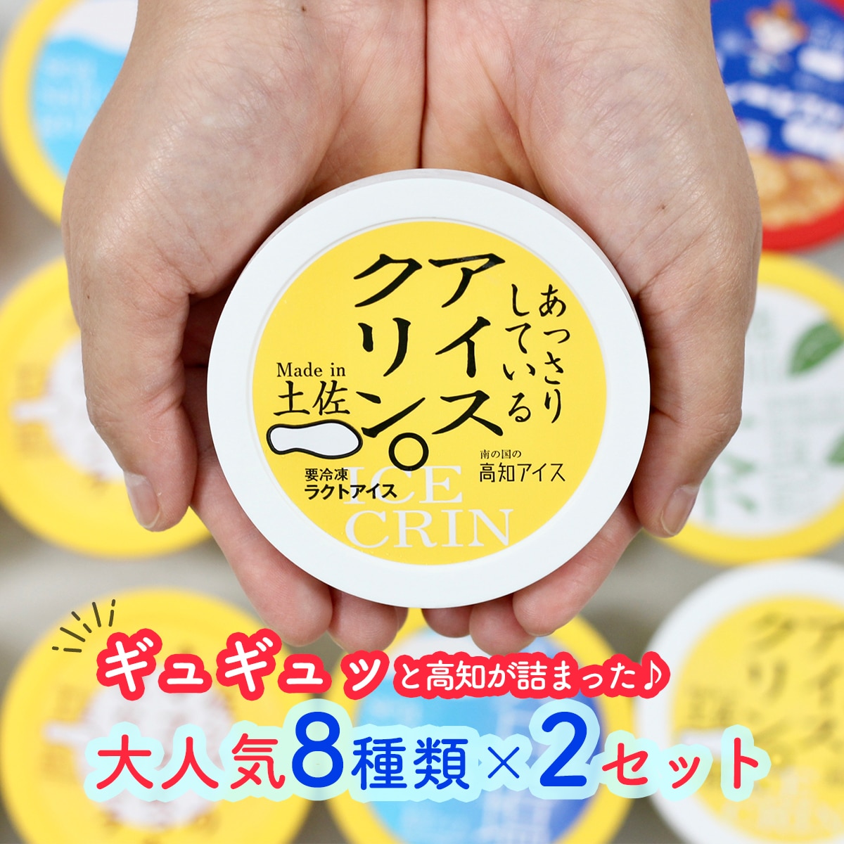 高知アイスのアイスクリーム　8種類×2