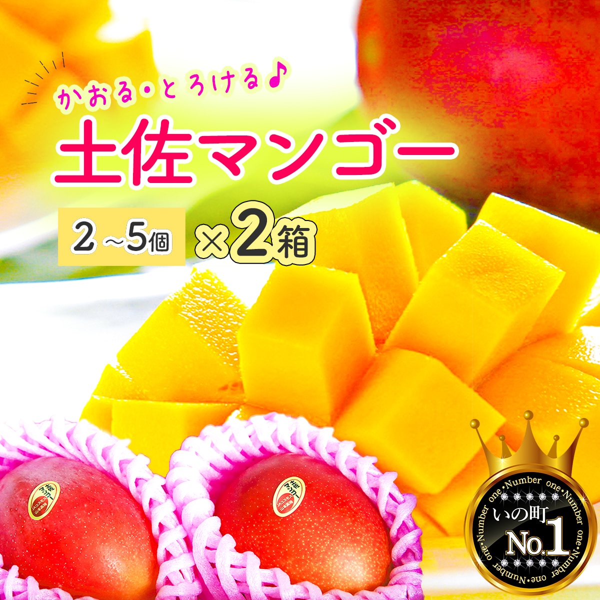 かおる・とろける!土佐マンゴー(2~5個)×2箱