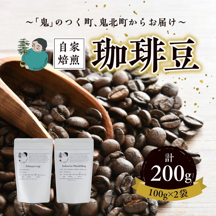 焙煎豆 お任せ2袋（約100g×2袋） ｜ 珈琲 コーヒー HARSHA COFFEE 愛媛県 鬼北町 ※北海道・沖縄・離島への配送不可