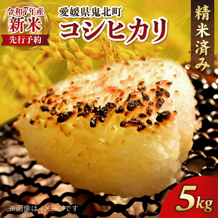 【R7年産新米】愛媛県産 コシヒカリ 5kg | ご飯 白米 お米 令和7年産 5kg 10kg 20kg 精米済み ※2025年10月上旬~12月下旬頃に順次発送予定 ※離島への配送不可