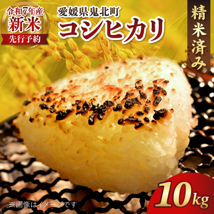 【R7年産新米】愛媛県産 コシヒカリ 10kg ｜ ご飯 白米 お米 令和7年産 5kg 10kg 20kg 精米済み ※2025年10月上旬～12月下旬頃に順次発送予定 ※離島への配送不可