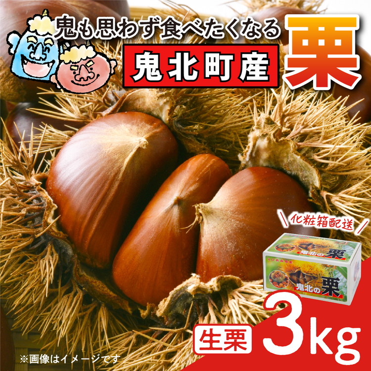 【鬼の栗拾い】鬼北町産くり 約3kg ｜ 大粒 生栗 和栗 国産栗 地域限定 丹波栗 くり 栗 栗ご飯 生栗 果物 フルーツ 先行予約 数量限定 ※離島への配送不可 ※2025年9月中旬～10月上旬頃に順次発送予定