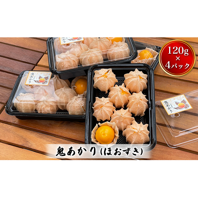 鬼あかり（ほおずき）120g×4パック ｜ 鬼灯 ホウズキ 特産品 ジャム フルーツ 愛媛県 鬼北町 ※2025年4月上旬～5月上旬頃に順次発送予定