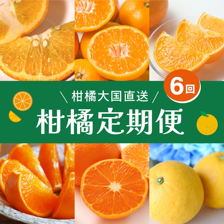 【定期便】2025年11月発送開始 えひめかんきつ定期便 全6回<みかん 柑橘 フルーツ 定期便 国産 愛媛県 > ※離島への配送不可 ※2025年11月下旬~2026年4月下旬頃に順次発送予定