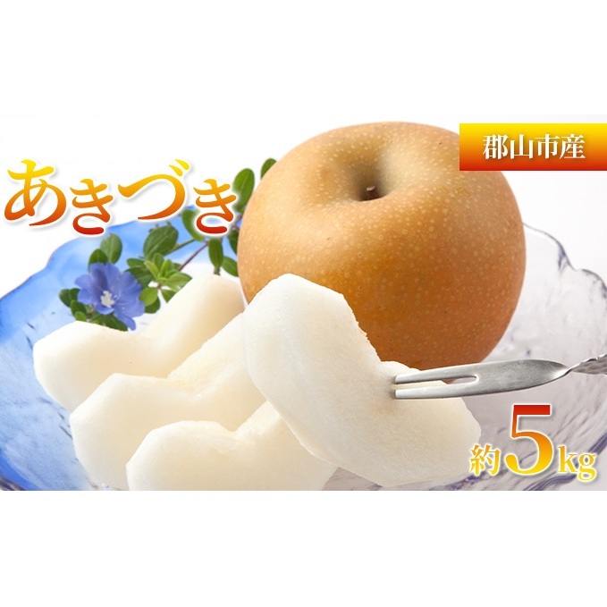 あきづき 約5kg 梨 なし フルーツ 果物 デザート 旬 ナシ やわらかい 酸味少なめ 産地直送 常温 若林果樹園 福島県 郡山市