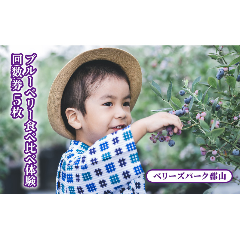 ブルーベリー食べ比べ体験回数券5枚(大人) 
