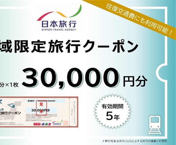 福島県郡山市 日本旅行 地域限定旅行クーポン30,000円分 チケット 