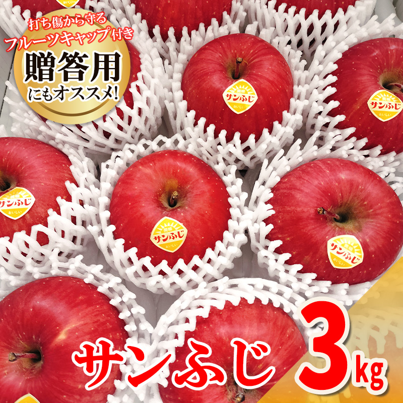 高橋りんご園 『サンふじ』3kg(8~10玉) フルーツキャップ付き 贈答用にもオススメ!