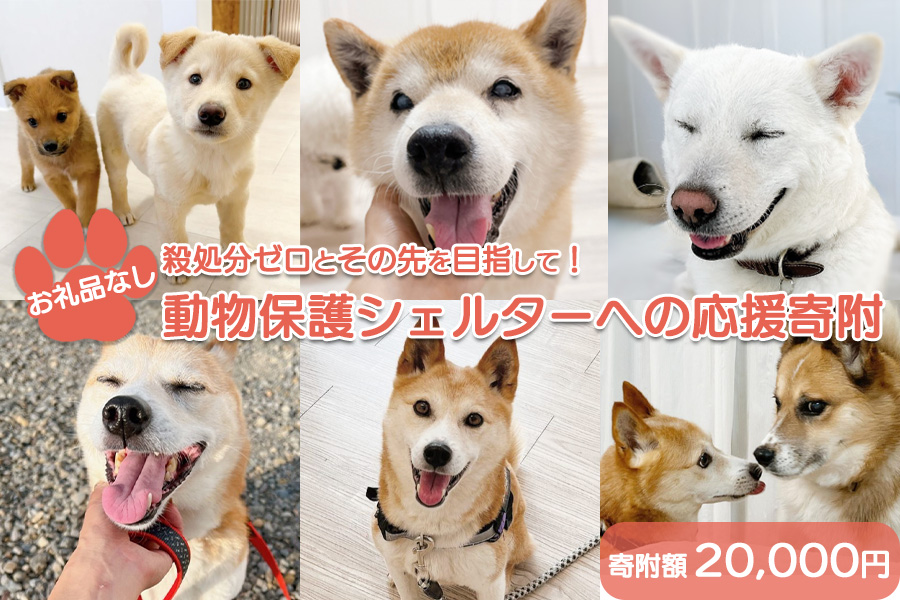 【お礼品なし】殺処分ゼロとその先を目指して! 動物保護シェルターへの応援寄附 20,000円