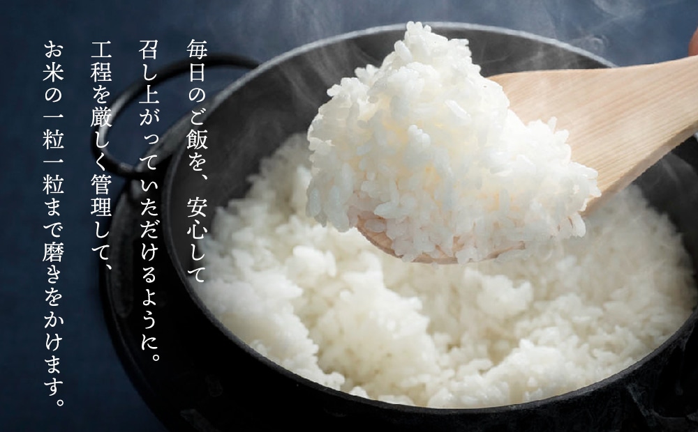 お米 ブレンド米【Have a Junjou Rice day!30kg】