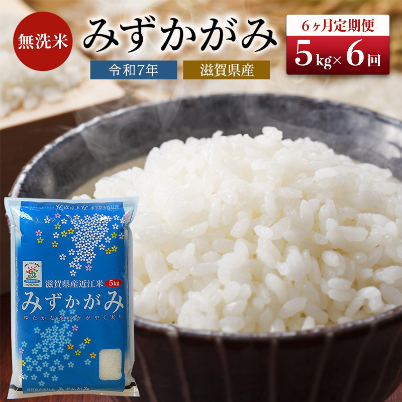 【令和7年産新米】滋賀県産 定期便 6ヶ月 みずかがみ BG無洗米 5kg 無洗米 お米 こめ コメ おこめ 白米 6回