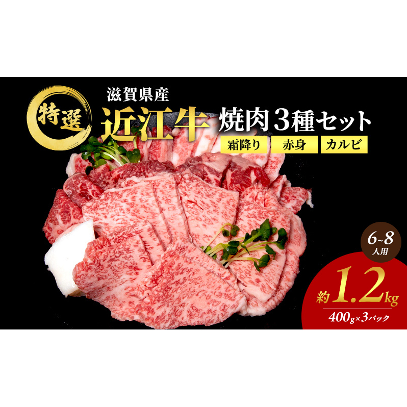 近江牛 特選 焼肉 3種盛り 約1.2kg(6～8人用)　国産　牛肉　牝牛　ブランド牛　3パック　滋賀県　豊郷町　BBQ　バーベキュー
