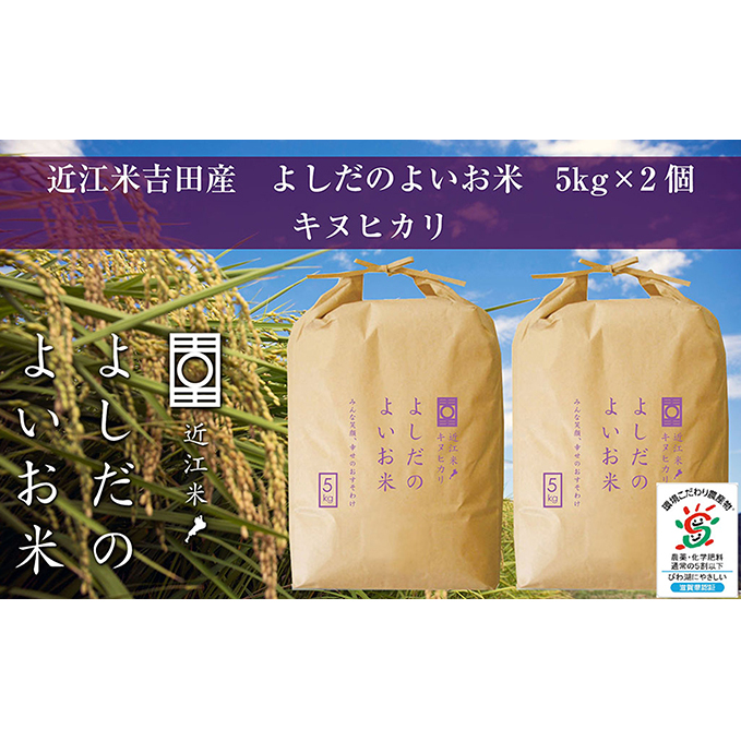 新米 令和6年 滋賀県産 キヌヒカリ 精米 10キロ 玄米でも可(87 新米 令和6年 滋賀県産 キヌヒカリ 精米 10キロ 玄米でも可(87