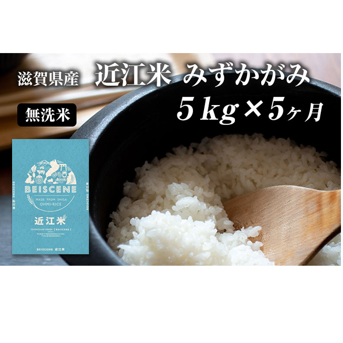 【定期便】令和7年産新米 5kg×5ヶ月 近江米 みずかがみ 無洗米 滋賀県豊郷町産 お米 こめ コメ 米 おこめ 白米 5回 お楽しみ