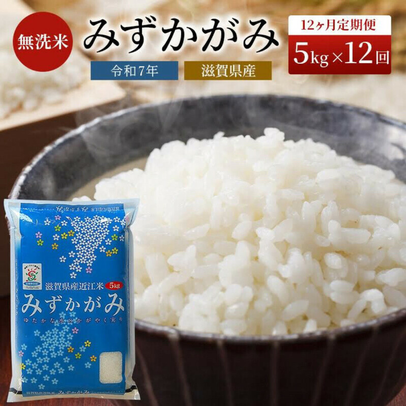 米 定期便 12ヶ月 5kg みずかがみ BG無洗米 令和7年産 滋賀県産