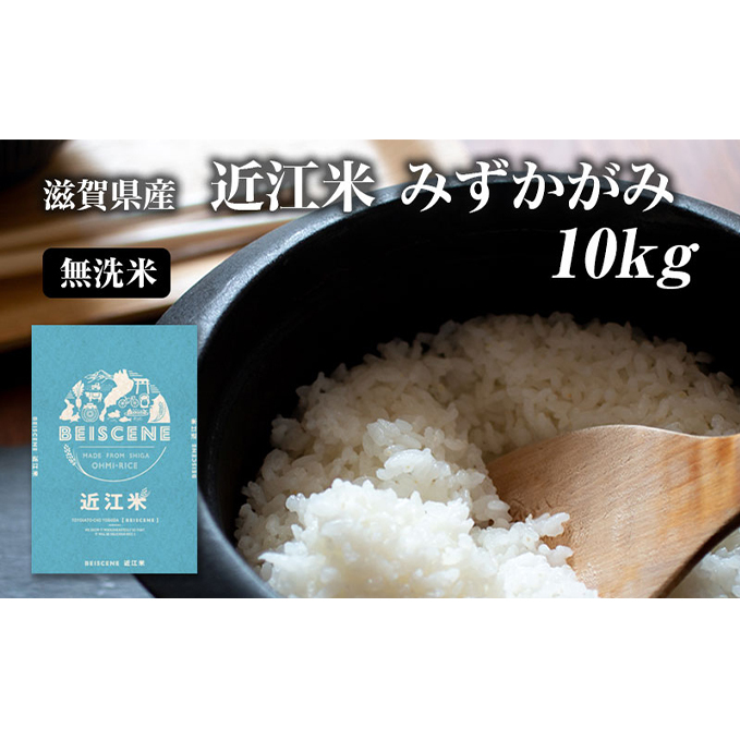 令和7年産新米 滋賀県豊郷町産 近江米 みずかがみ 無洗米 10kg お米