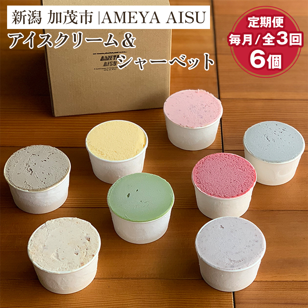 [定期便3ヶ月毎月お届け]AMEYA AISU アイスクリーム&シャーベット おまかせギフトボックス 6個入 [ アイスクリームのギフトセット アイスクリーム シャーベット ジェラート 昔懐かしい小豆アイス 青木飴屋 加茂市 ]