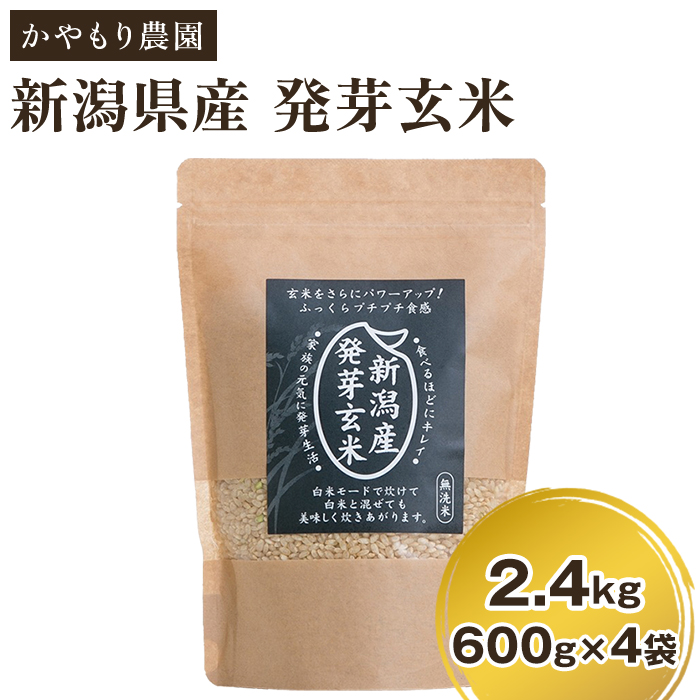 [令和5年産米][発芽玄米] 新潟産 発芽玄米2.4kg(600g×4個)新潟米 新潟県産 かやもり農園